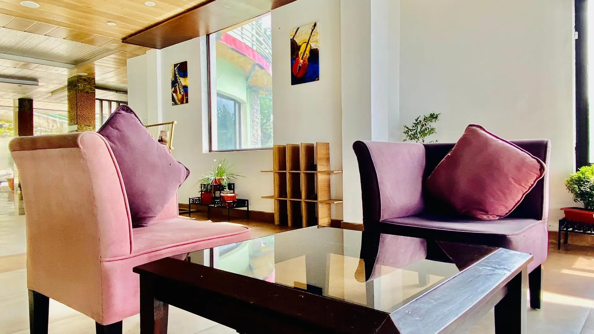 Royal Green Valley Mashobra By Naina Staycation - Mountain And Valley View Rooms