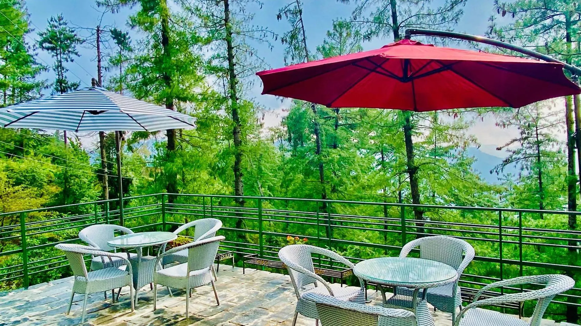 Royal Green Valley Mashobra By Naina Staycation - Mountain And Valley View Rooms Hotel Shimla